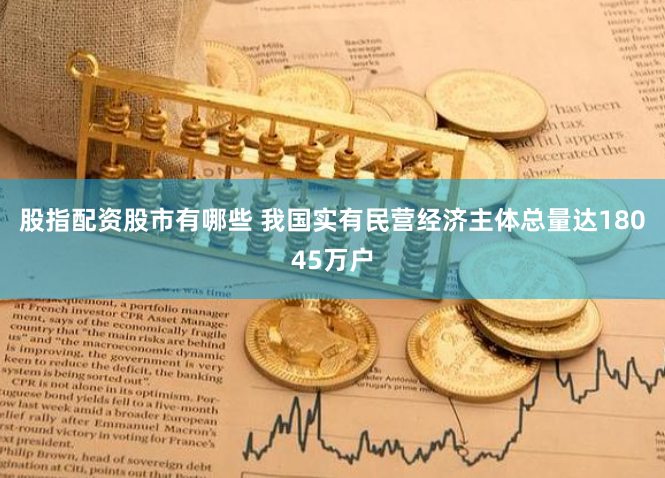 股指配资股市有哪些 我国实有民营经济主体总量达18045万户