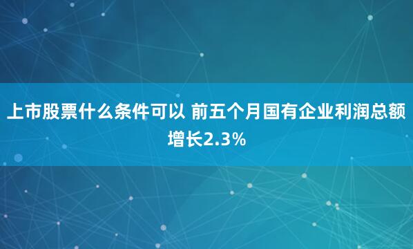 上市股票什么条件可以 前五个月国有企业利润总额增长2.3%