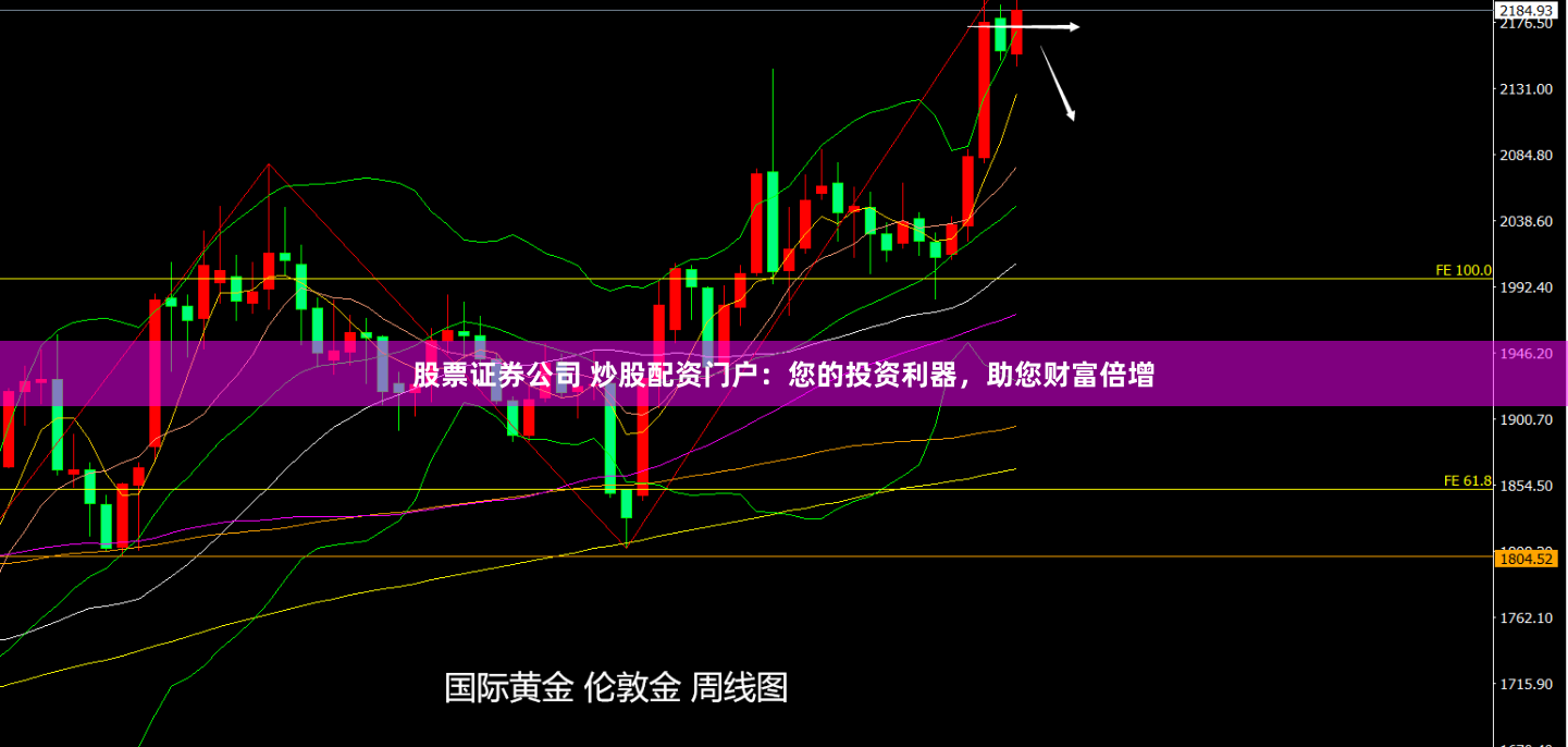 股票证券公司 炒股配资门户：您的投资利器，助您财富倍增