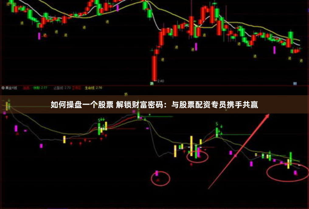 如何操盘一个股票 解锁财富密码：与股票配资专员携手共赢